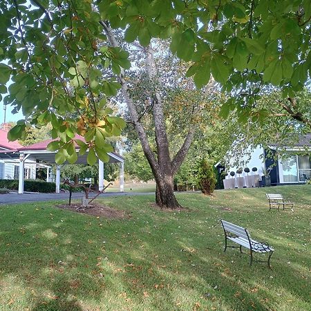 Moore Park Inn Armidale Kültér fotó