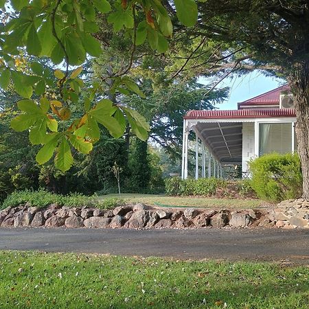Moore Park Inn Armidale Kültér fotó