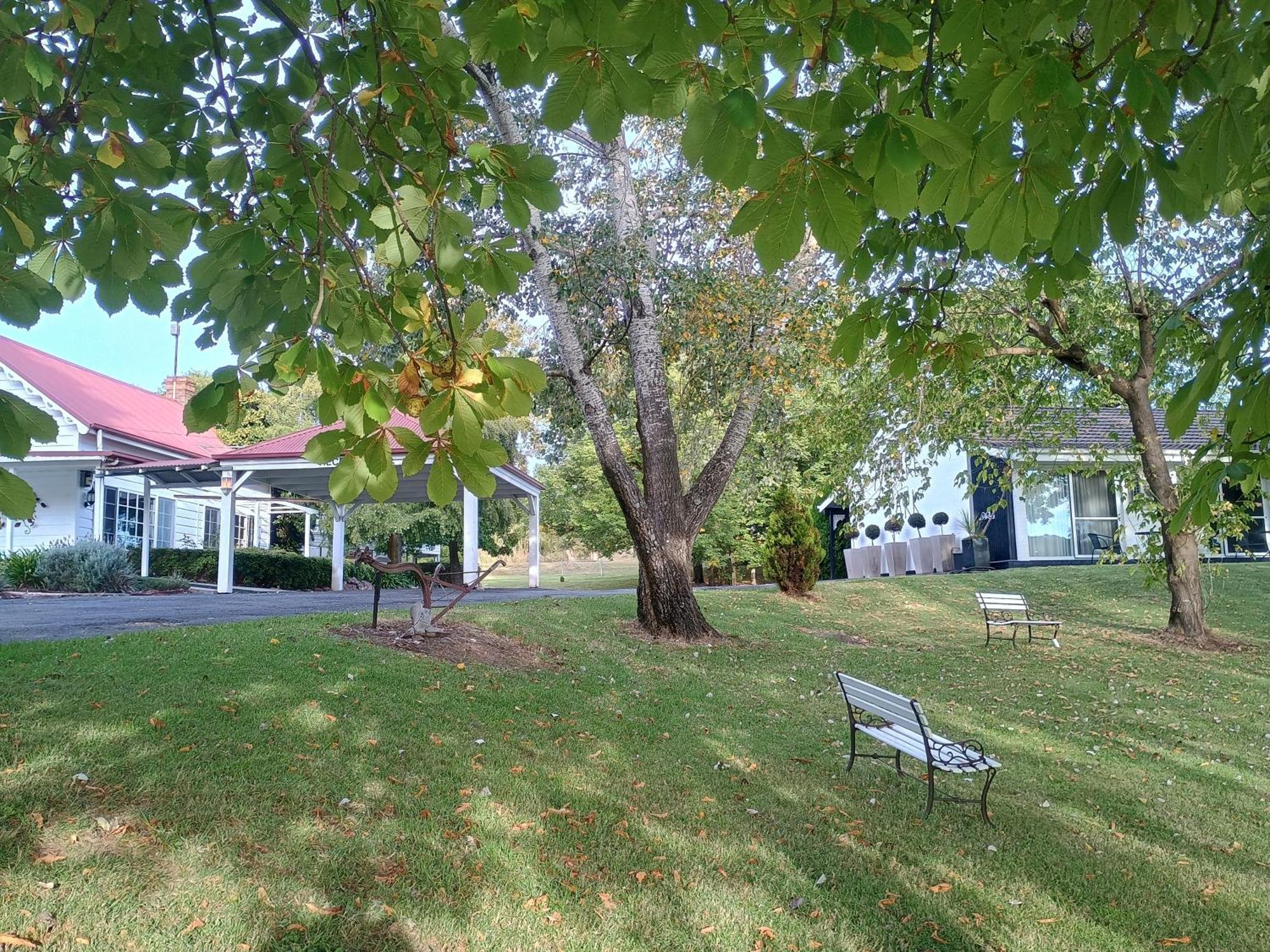 Moore Park Inn Armidale Kültér fotó