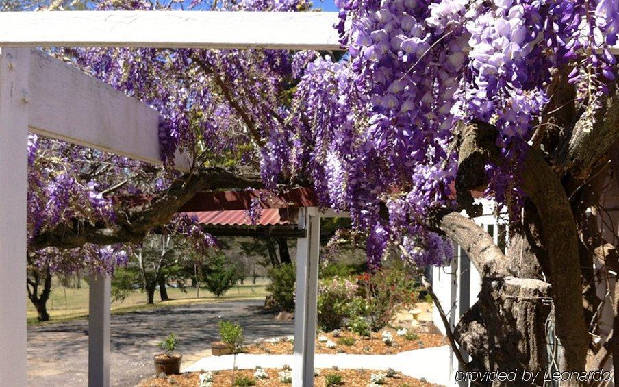 Moore Park Inn Armidale Kültér fotó