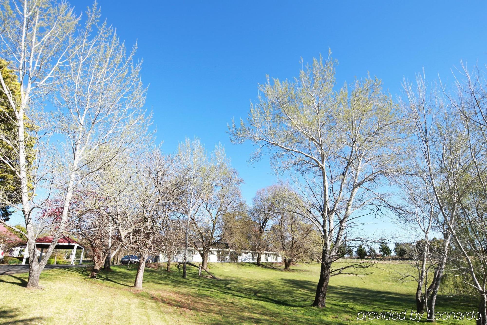 Moore Park Inn Armidale Kültér fotó