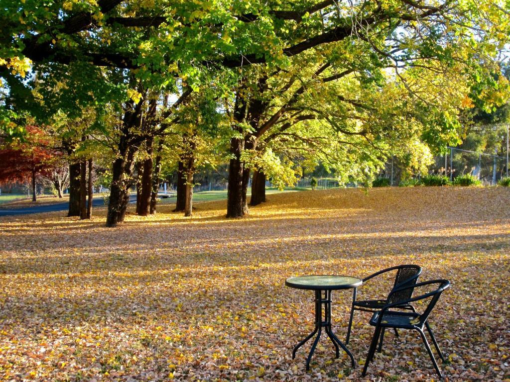 Moore Park Inn Armidale Kültér fotó