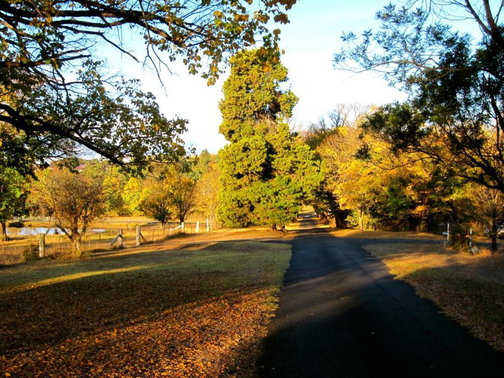 Moore Park Inn Armidale Kültér fotó